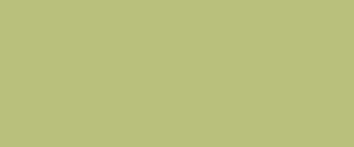 FORMICA-F 3007 C1 Pale Olive 2150x950x2 MAT