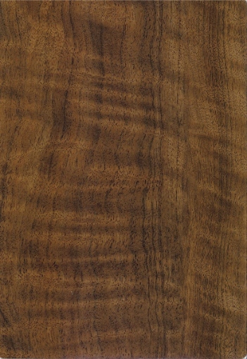 FORMICA-F 3485 C1 Black Walnut 3050x1300x2 MAT