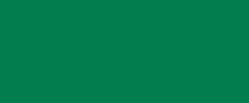 FORMICA-F 7897 C1 Spectrum Green 2150x950x2 MAT