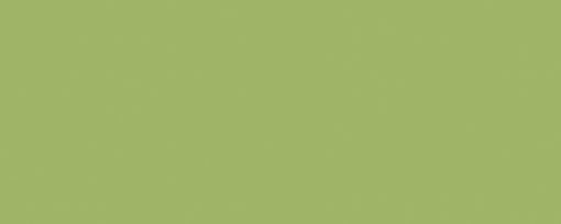 FORMICA-F 8820 C1 Leaf Green 2150x950x2.5 MAT