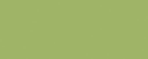 FORMICA-F 8820 C2 Leaf Green 2150x950x8 MAT