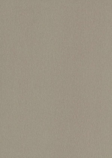 FORMICA-F 8859 C1 Vintage Brush 3050x1300x2 MAT