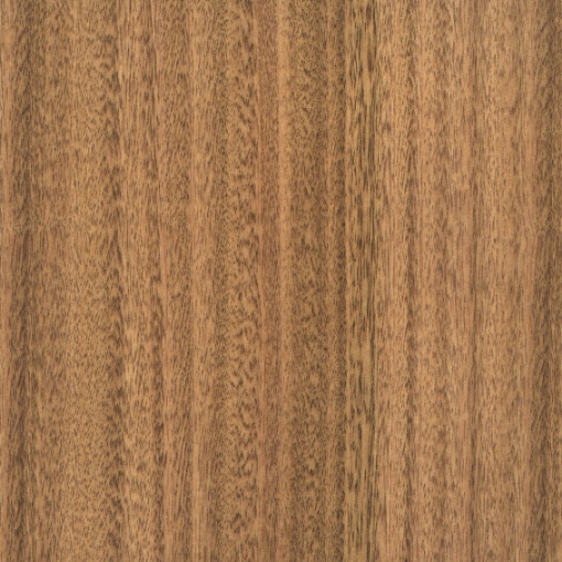 Obrázek Eucalyptus T6 3050 x 1270 x 1mm Matte