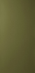 Obrázek Oberflex Dark olive 017 3050 x 1270 x 0.9 mm Sticks