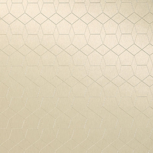 Obrázek 325/360 Alu Brushed Champagnertone 3050 x 1220 mm x 1 mm