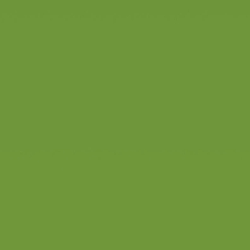 Obrázek 8232 Magnetic Apple Green Glossy / Board Marker 2440 x 1220 mm x 1 mm