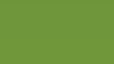 Obrázek 8232 Magnetic Apple Green Glossy / Board Marker 2440 x 1220 mm x 1 mm