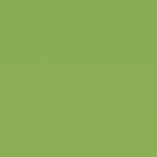 Obrázek 8259 Magnetic Board Apple Green Matt / Chalk 2440 x 1220 mm x 1 mm