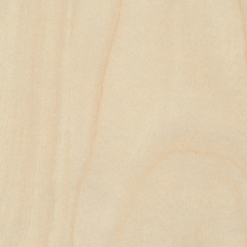 Obrázek R55064 ML Jerusalem Pine 4100 x 1300 x 0.8 mm