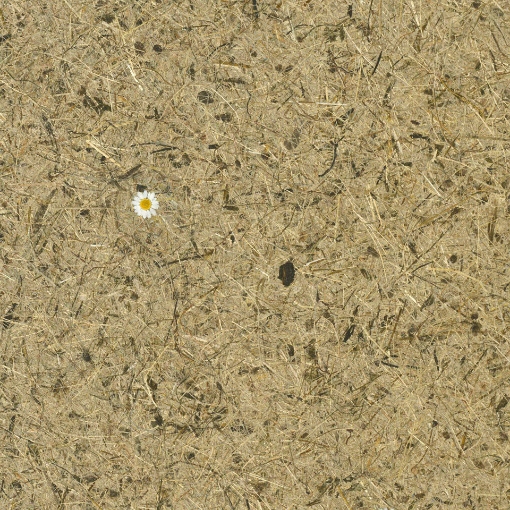 Obrázek Wildspitze Daisies 1360 x 100 mm x 1 mm - lněná netkaná textilie
