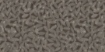 Obrázek Skeleton leaves medium 2950 x 1360 mm x 0.3 mm - samolepicí neprůhledný