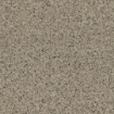 Obrázek Tree lichen 3050 x 1320 mm x 2.4 mm - hpl