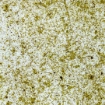 Obrázek Moss light green medium 1360 x 100 mm x 0.5 mm - samolepící průsvitný