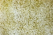 Obrázek Moss light green medium 1360 x 100 mm x 0.5 mm - samolepící průsvitný