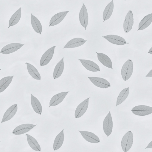 Obrázek Skeleton leaves grey light 1360 x 100 mm x 0.2 mm - na bílé přírodní netkané textilii
