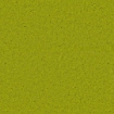 Obrázek Moss light green 2950 x 1360 mm x 1 mm - samolepicí neprůhledný