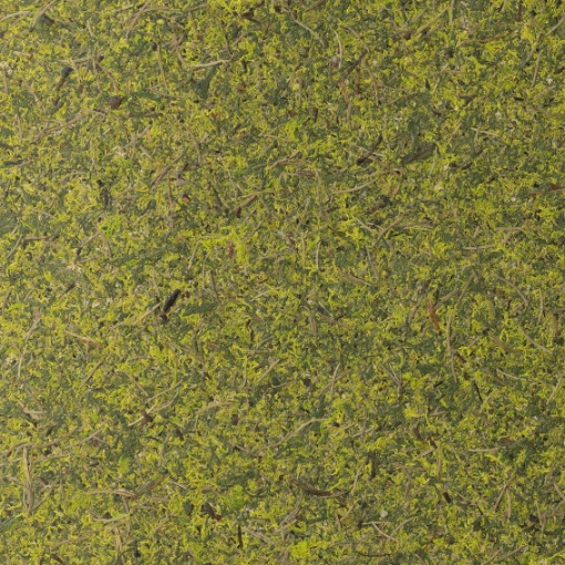Obrázek Oberflex Sous-Bois 3070 x 1300 x 0,8mm SuperOrganic