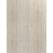 Obrázek ABS hrana Unilin 0H163 BST Flakewood white 43x1mm